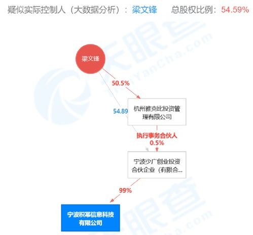 信息技术咨询服务 数字化转型的加速器
